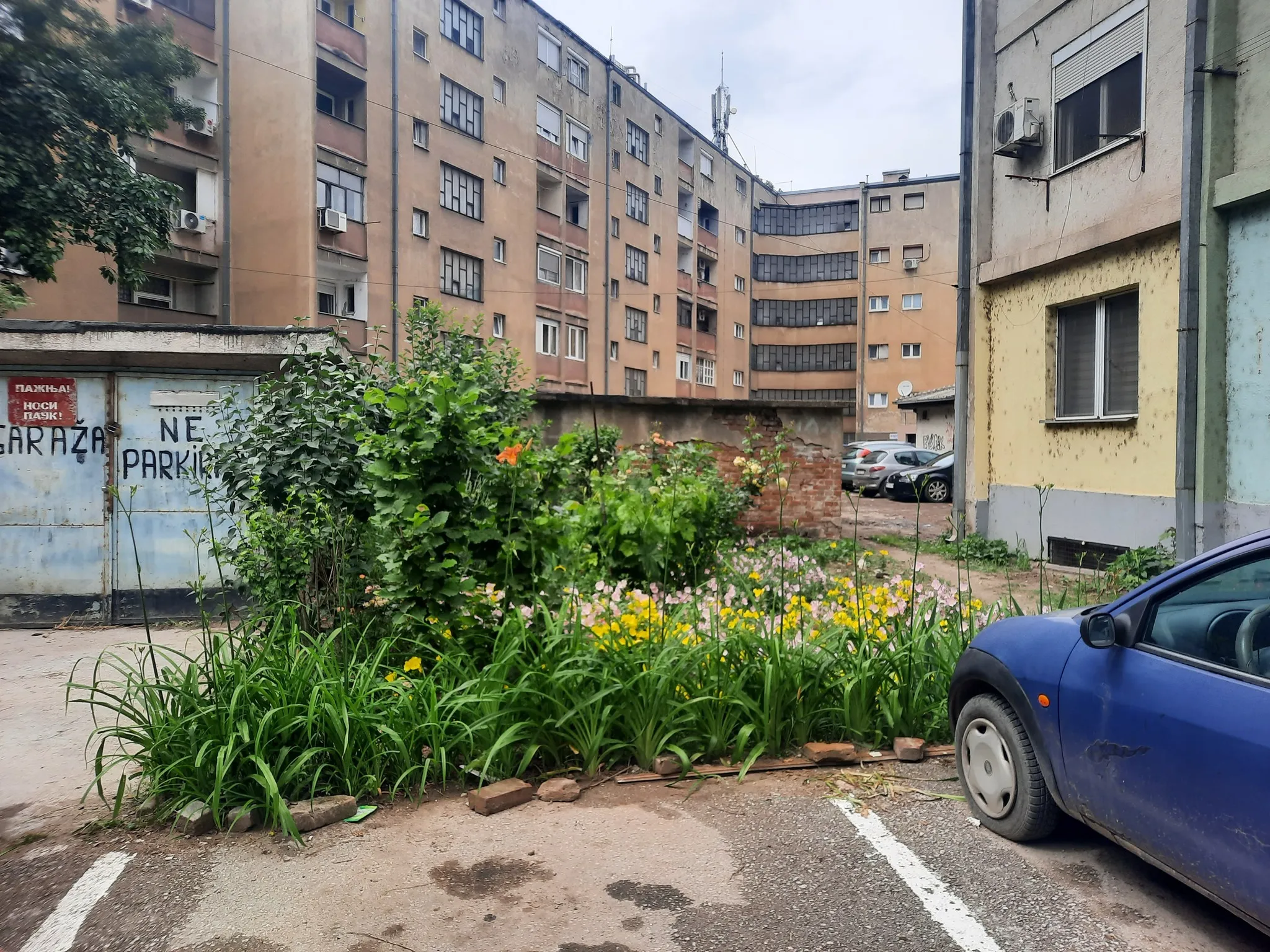 RePOS team members doing research on the field within the housing estate in the Jovana Ristića Street in Niš